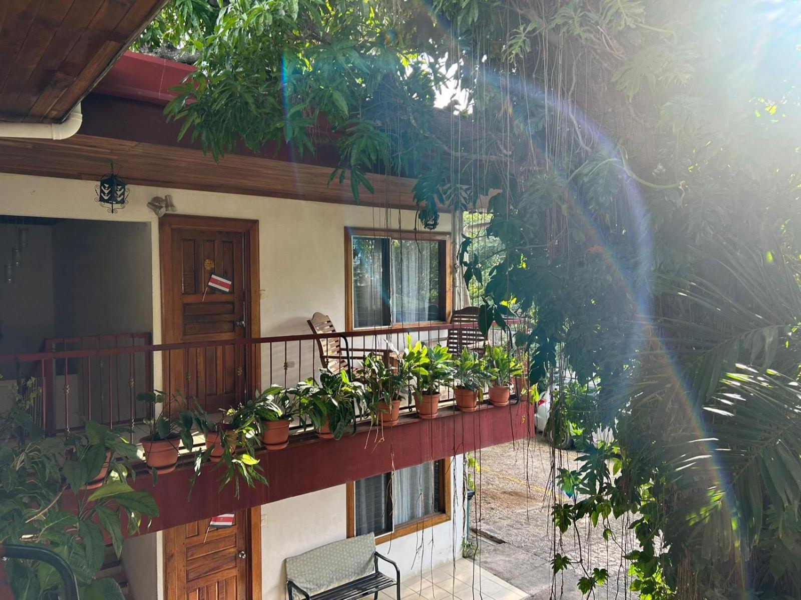 Hotel Javy Liberia Exterior foto